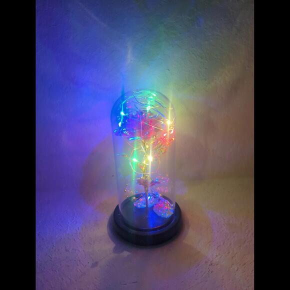 Rose light - Picture 5 of 6